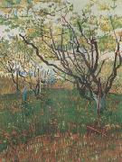 Vincent Van Gogh Orchard in Blosson (nn04) oil painting on canvas